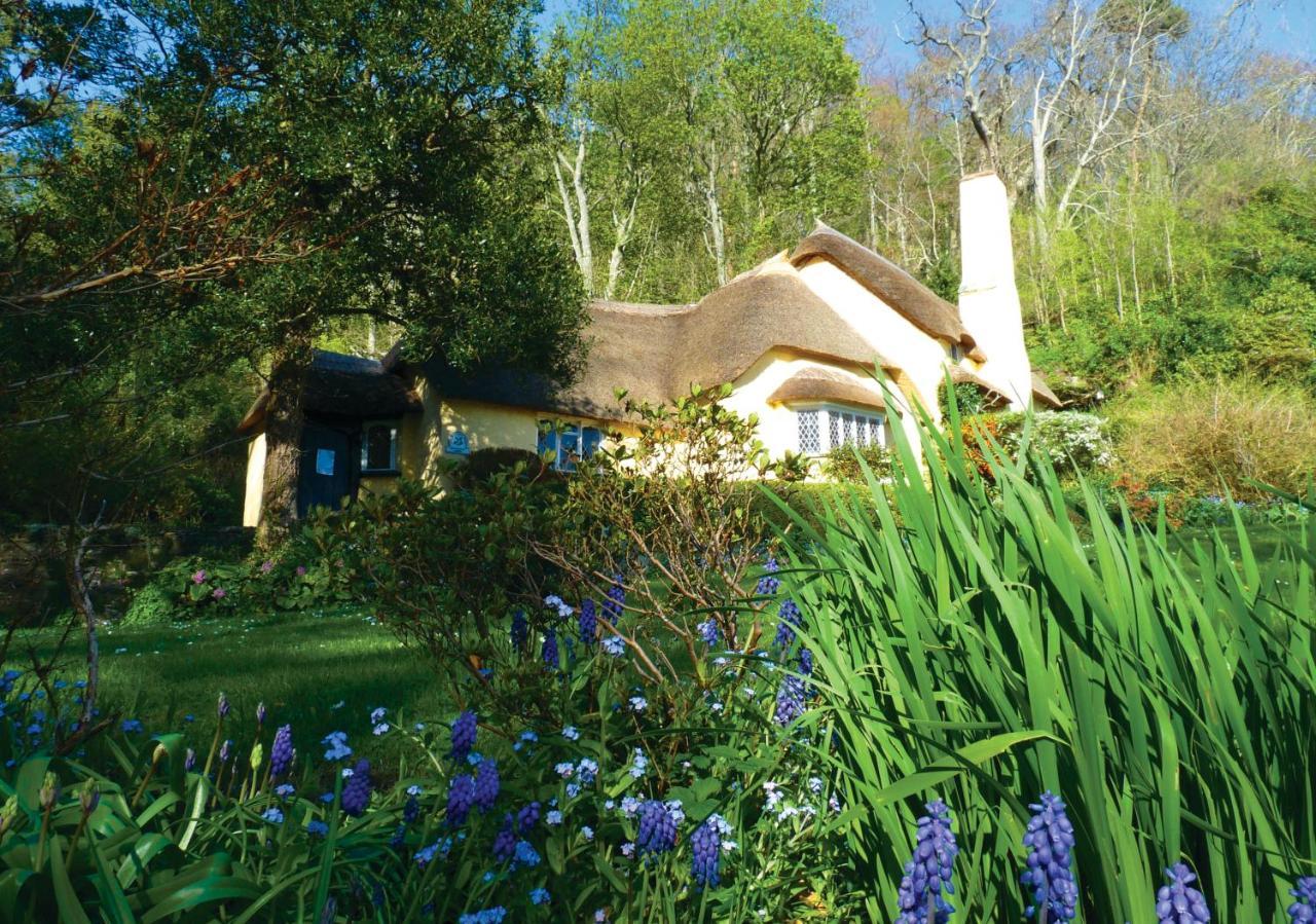 Southcliffe B&B Lynton Esterno foto